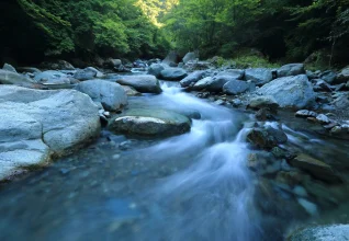 テントサウナが禁止になったキャンプ場まとめ。事故や今後の規制についても徹底解説！