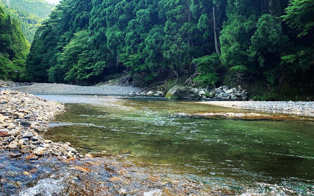 山希林キャンプ場