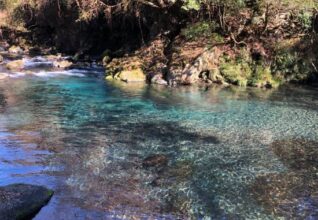 静岡県　テントサウナ