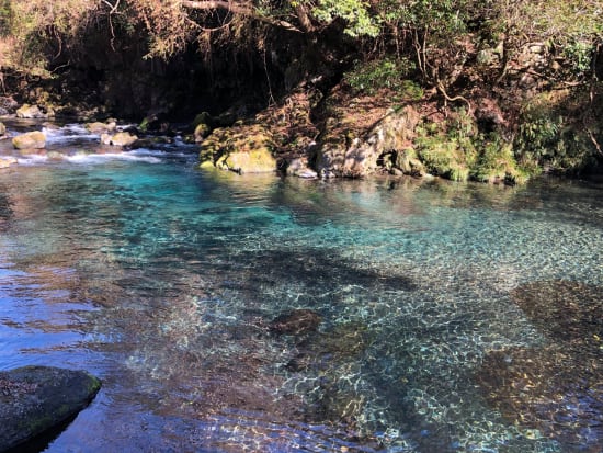 里山テントサウナ