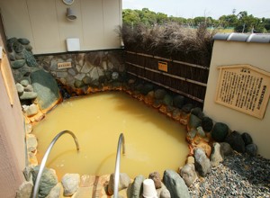 楽天地天然温泉 法典の湯