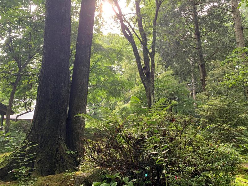 軽井沢森のサウナ