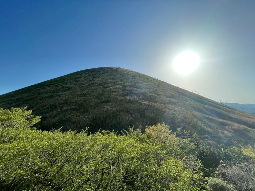 COCO VILLA大室山 静岡県 サウナ付き貸別荘