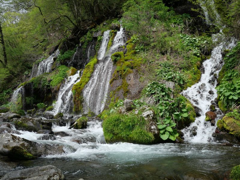 吐竜の滝 山梨県