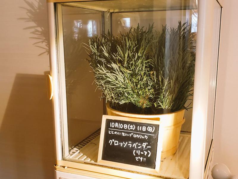 各務原 恵みの湯(各務原市)