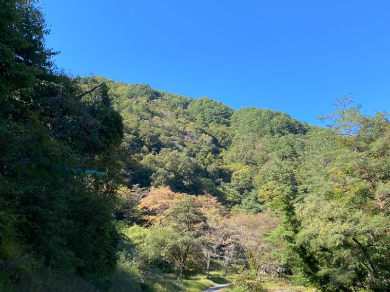 KUWABARA CAMP（中川村）