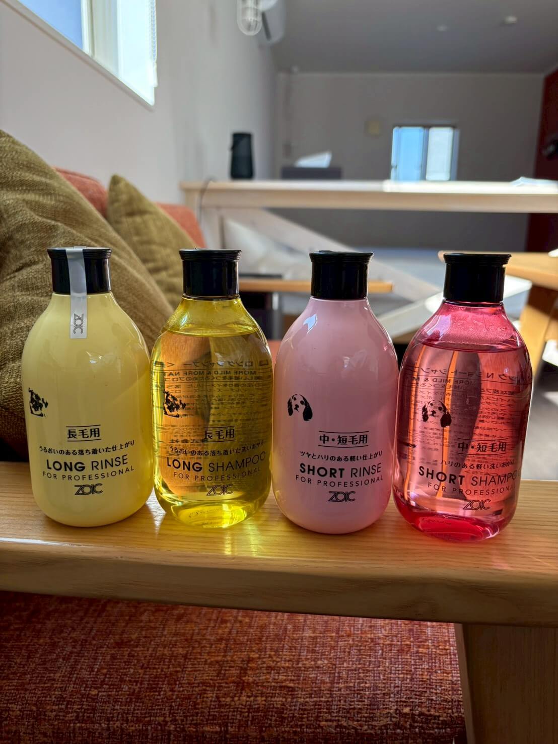 千葉県 サウナ付き貸別荘 COCO VILLA 南房総 Dog Stay