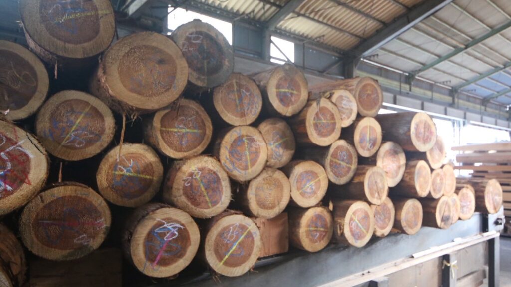 MORI SAUNA 屋外用サウナ