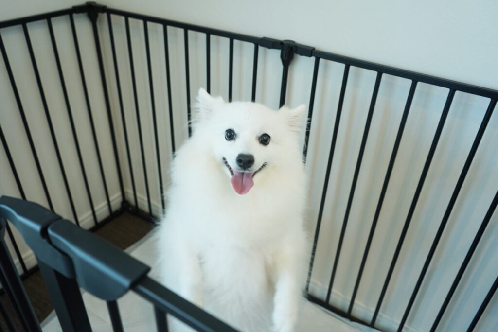 千葉県 サウナ付き貸別荘 COCO VILLA 南房総 Dog Stay