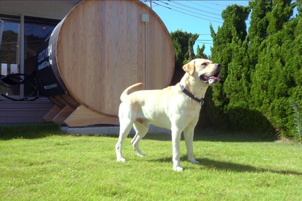 千葉県 サウナ付き貸別荘 COCO VILLA 南房総 Dog Stay