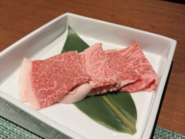 佐賀県嬉野温泉 サウナ付き温泉宿 枯淡嬉野