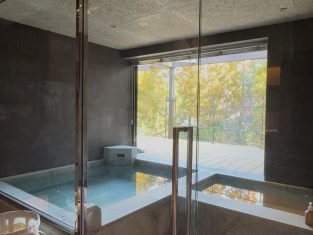 佐賀県嬉野温泉 サウナ付き温泉宿 枯淡嬉野