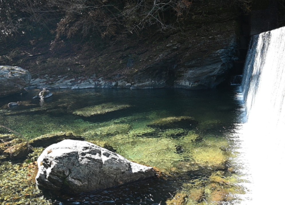 本川サウナ ニジュマル(いの町)